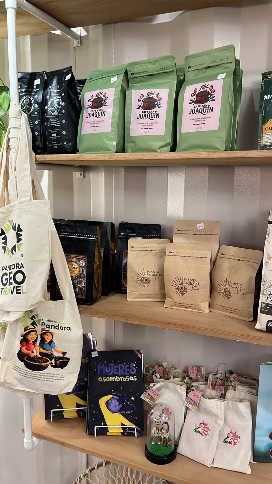 Bolsas de café santandereano y figura de pareja en traje típico bajo cúpula de vidrio